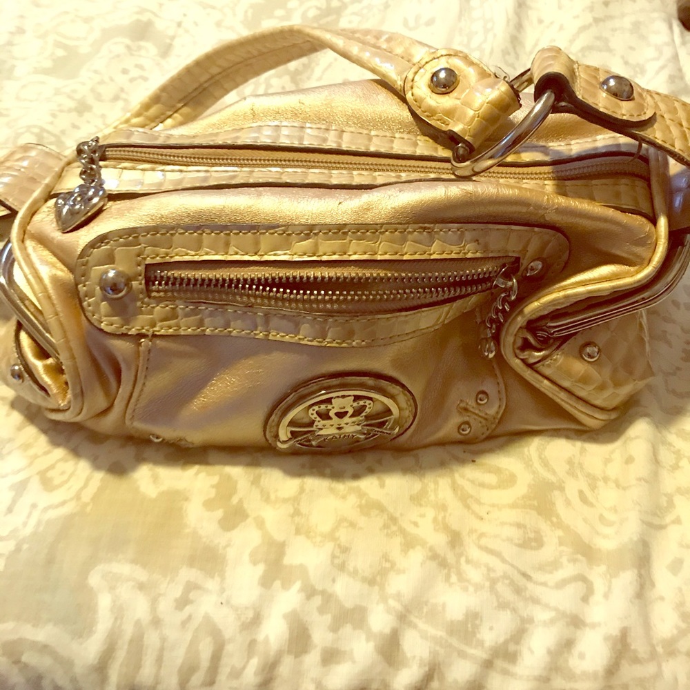 Kathy Van Zeeland purse
